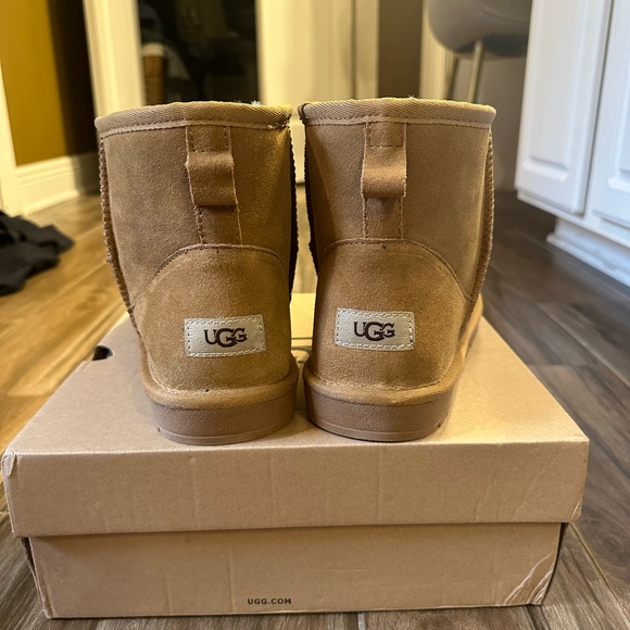 Shoes - Women’s Classic Mini Boots